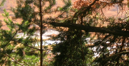 Riserva Naturale Pian Gembro